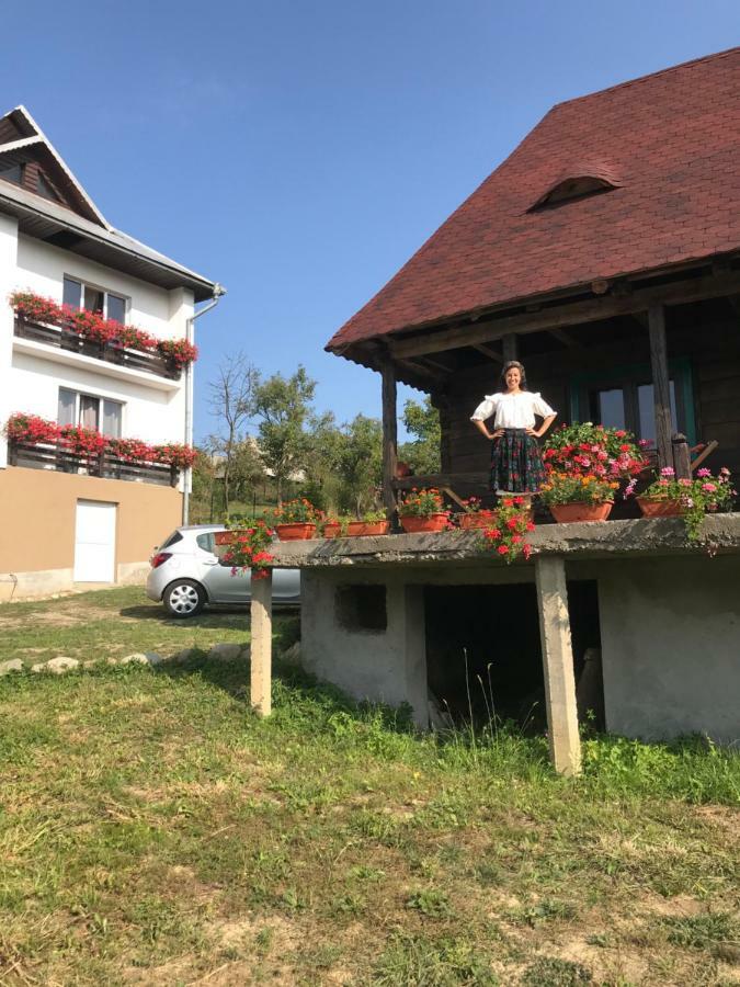 Casa Relax Hotel Valeni  Ngoại thất bức ảnh